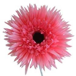 Learn how to create simple forever lasting diy bouquets. Add a touch of the Chelsea Flower Show to your home with ...