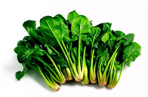 Top 10 Super Foods For Healthy Liver