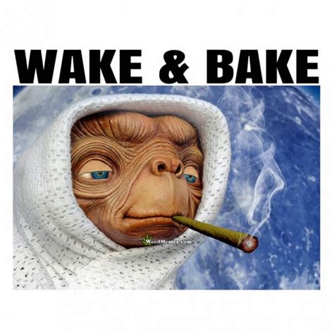Wake And Bake Memes Et Smoking Blunt Pic Weed Memes