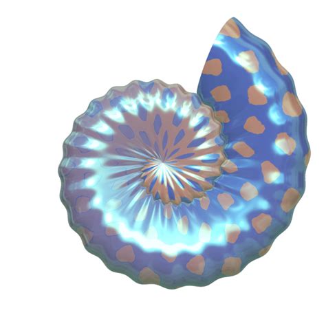 Seashell Clipart - Clipartion.com