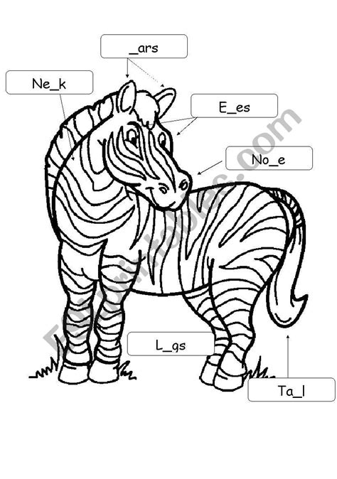 A Zebra Esl Worksheet By Nas7891