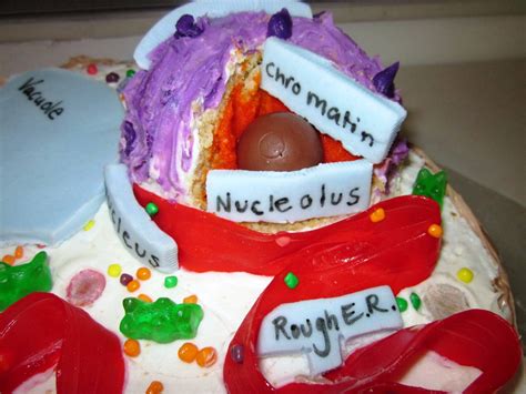 We used round cake pans since we were doing an animal cell model. The Science and Technology Lady: Edible Science Model ...