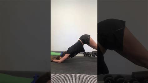 Plank To Dolphin Pose Youtube