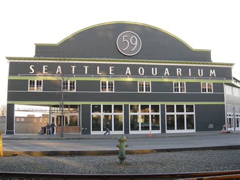 Seattle Aquarium Offers A Window Into The Mysterious Deepwaters Of The