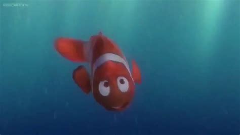 Finding Nemo 2003 Meet Marlin And Dory Scene Youtube