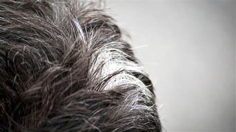 Syarat mewarnai rambut sesuai hukum islam. Hukum Mewarnai Rambut Dalam Islam...ramai yang tersilap ...