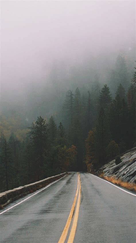 Rain Mist Fog Forest Road Iphone Wallpaper