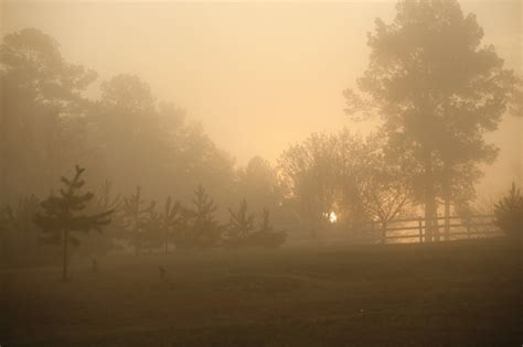 A Foggy Morning In The Country Oconee County Ga Photo Credit Gary
