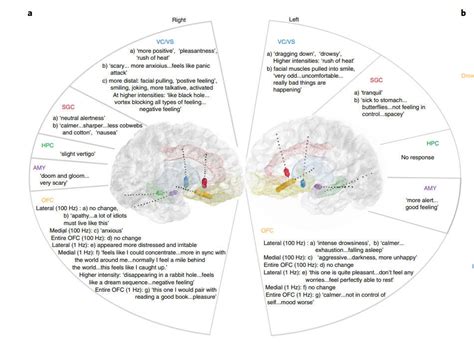 Deep Brain Stimulation Relieves Depression Medizzy Journal