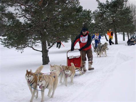 A 50% deposit is required at the time of booking; Punderson State Park