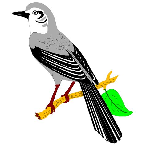 Mockingbird Png Svg Clip Art For Web Download Clip Art Png Icon Arts