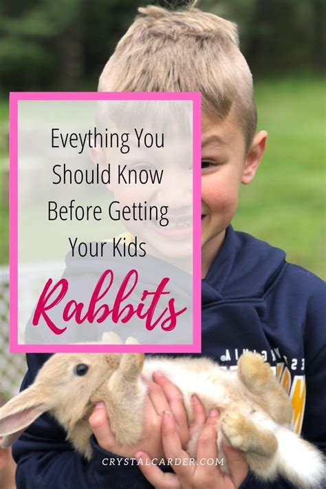 Everything You Should Know Before Getting Your Kids Pet Rabbits