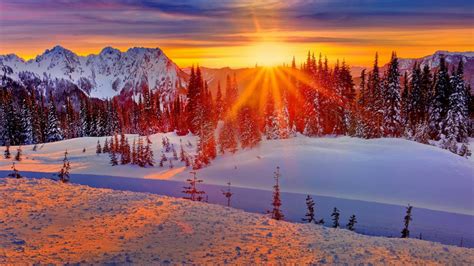Winter Sunset Over The Mountains Wallpaper Backiee