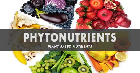 what are phytonutrients and how can they benefit you