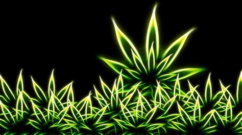 Cannabis Wallpapers 4k Hd Cannabis Backgrounds On Wallpaperbat