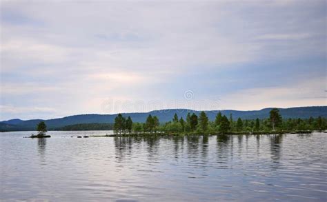 Island With Trees On In Lake Inari Stock Image Image Of River Summer