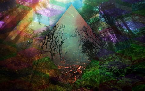 Download Trippy Forest Wallpaper By Jacquelineg9 Trippy Forest
