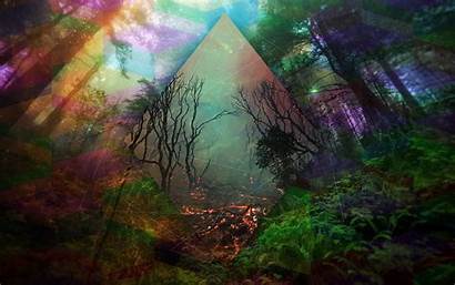 Trippy Forest Wallpapers Wallpapersafari Wallpaperplay