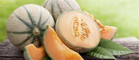 (2007) , an oceanic origin for äiwoo, the language of the reef islands?, in oceanic linguistics, volume 46, issue 2. Melon du Quercy | Local Cantaloupe From Lot, France