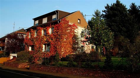1 häuser in merzig (saar) zur miete. Kommt die Sonn heut endlich raus, ... erstrahlt auch ...