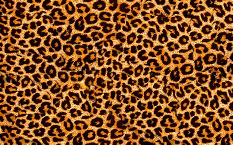 Leopard Skin Texture Macro Brown Blots Texture Leopard Skin Leopard