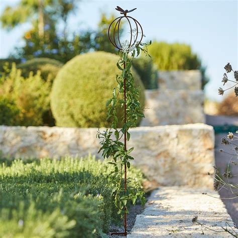 Vergleichbare firmen in der nähe. Gartenstab Libelle | LOBERON in 2020 | Libelle, Garten ...