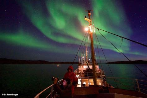 Polarlicht polarlicht polarlicht scheine scheine. polarlichter-in-norwegen-An-bord-der-Cape-Race-DR.jpg (900 ...