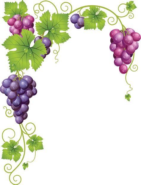 Grapes clipart border, Grapes border Transparent FREE for ...