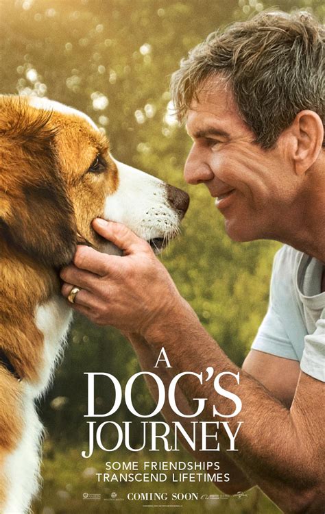Well, at least it's better than a dog's way home right? Bailey shares tender moments in new posters of 'A Dog's ...