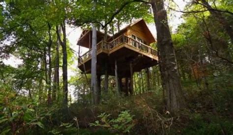 Dale Earnhardt Jr Has A Badass Treehouse In His Backyard That Was