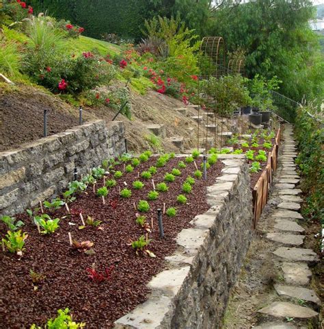 How To Turn A Steep Backyard Into A Terraced Garden Designrulz