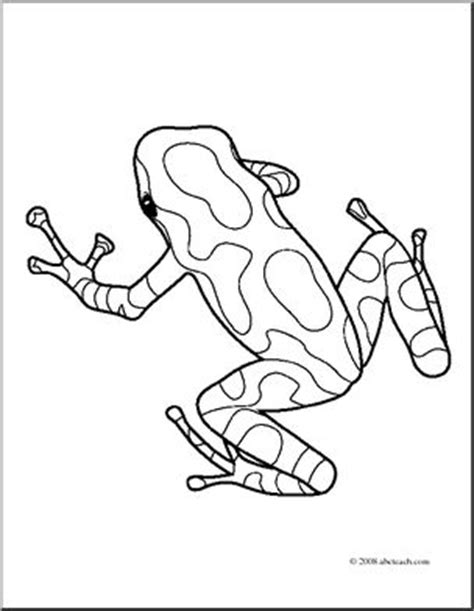 Blue poison dart frog coloring page. Poison dart frog clipart - Clipground