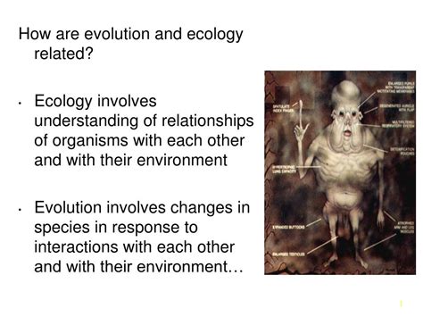 Ppt How Are Evolution And Ecology Related Ecology Involves