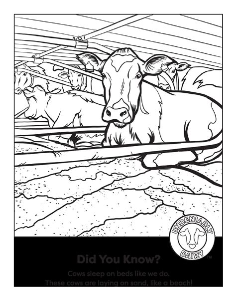 Cow Coloring Page Midwest Dairy