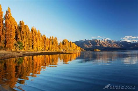 New Zealand Photos Lake Wanaka Autumn Reflections Kiwiblog