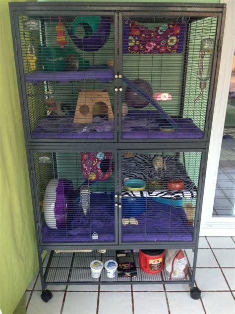 Ferret Toys Rat Toys Hamsters Rodents Chinchilla Cage Ferret Cage