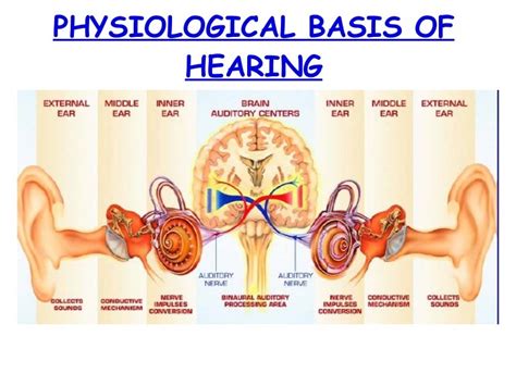 Physiology Of Hearing 21st July 11