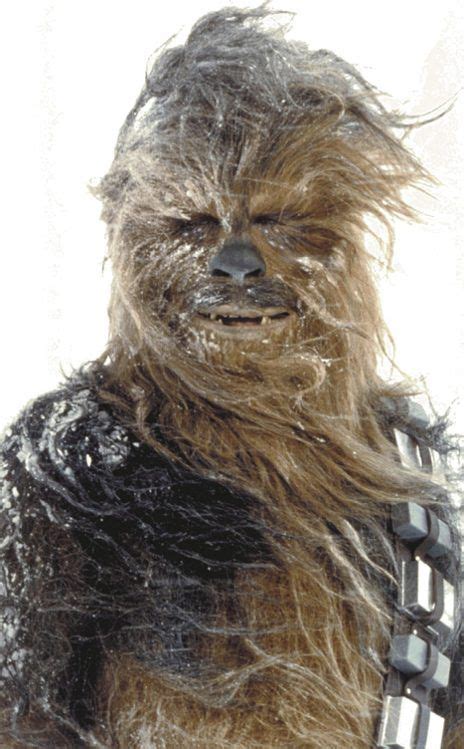 Chewbacca From So Many Aliens From Star Wars Star Wars Chewbacca