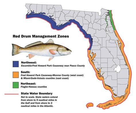 Nw Florida Red Drum Bag Limit Lowered To 1 Fish Starting May 1