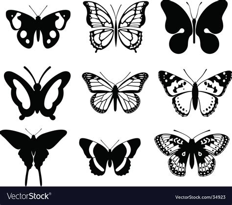 Butterfly Royalty Free Vector Image - VectorStock