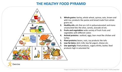 The Healthy Food Pyramid Food Pyramid