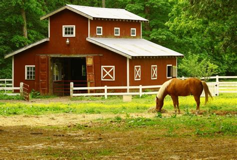 Our team of professionals at sapphire construction, inc. Housing Your Horse | EquiMed - Horse Health Matters