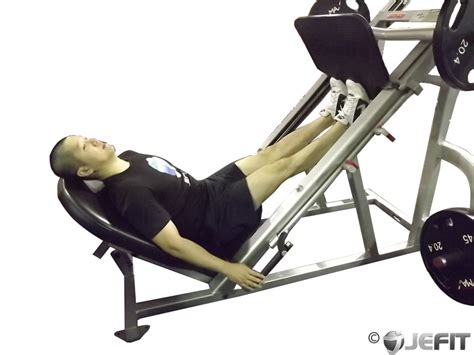Leg Press Calf Raise Benefits Muscles Worked And More 57 Off