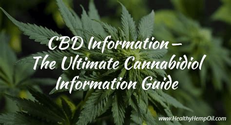 cbd information the ultimate cannabidiol information guide cbd 101