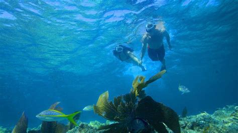 Key West Snorkeling Trips Double Dip Snorkeling Adventure