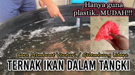 Cara Mudah Membuat Venturi Gelembung Udara Di Kolam Ternakan Ikan Ternak Ikan Dalam Tangki