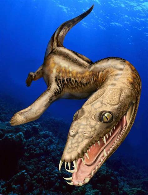 208 Best Prehistoric Sea Creatures Images On Pinterest