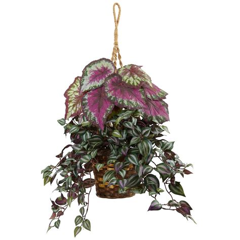 In its natural habitat, be it in mexico, south america, or central america, it has become notorious for 'wandering' into shady wet regions, as we alluded to earlier. Nearly Natural Indoor Wandering Jew and Begonia Silk ...