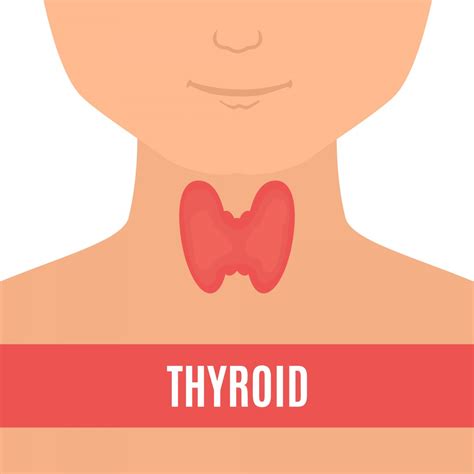 Thyroid hemiagenesis is a rare congenital anomaly in which one lobe of the thyroid gland fails to develop. Thyroid Disease in Kids: Symptoms, Diagnosis and Treatment