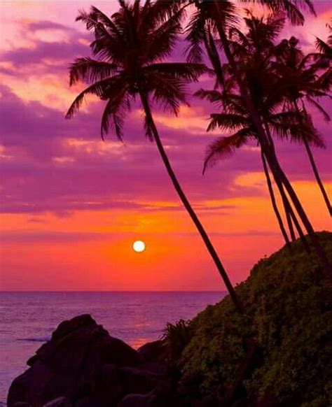 Sunset In Big Island Hawaii Usa Scenic Pictures Beach Sunset